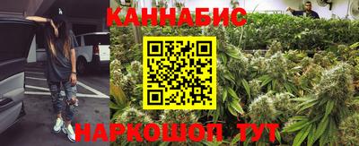 ешки Будённовск