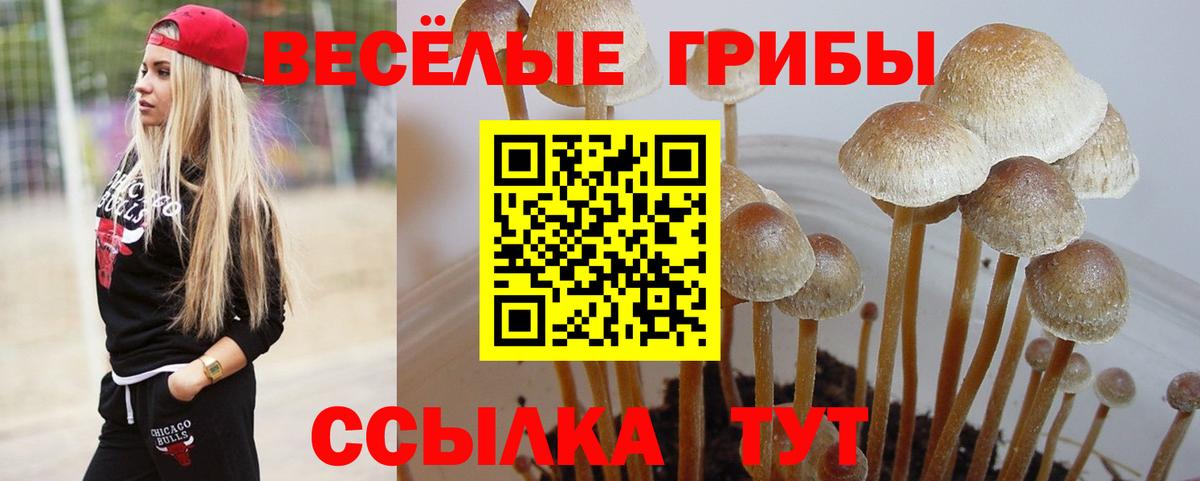 Галлюциногенные грибы мицелий  Псилоцибиновые грибы прущие грибы  Нягань  Вход с VPN 